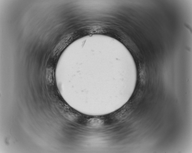 X0000103910169200810171713