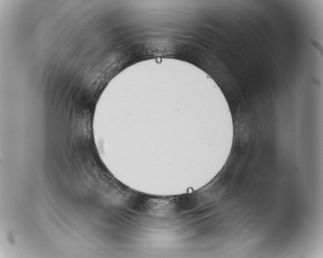 X0000103910170200810171713