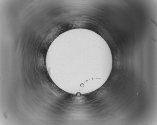 X0000103910173200810171713
