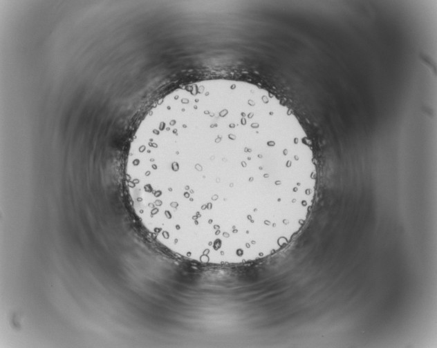X0000103910174200810171713