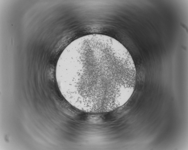 X0000103910175200810171714