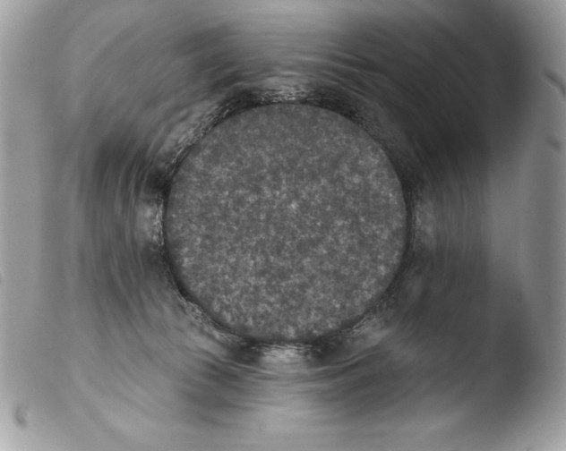 X0000103910177200810171714
