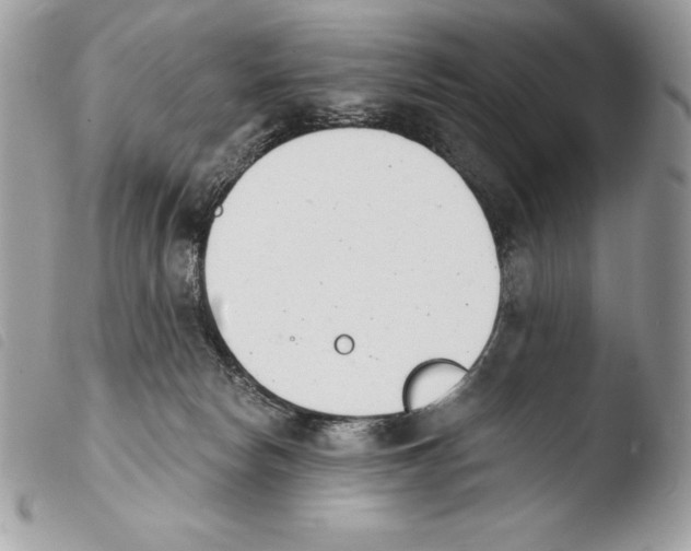 X0000103910178200810171714
