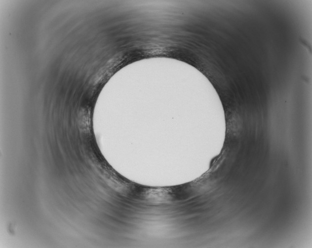 X0000103910179200810171714