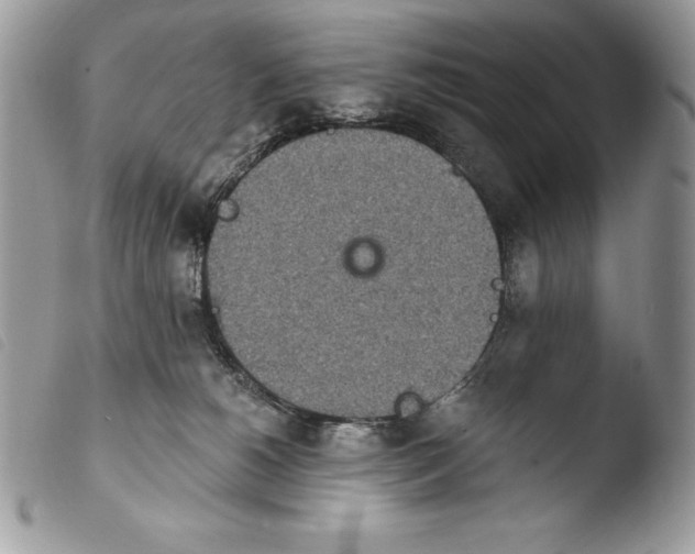 X0000103910180200810171714