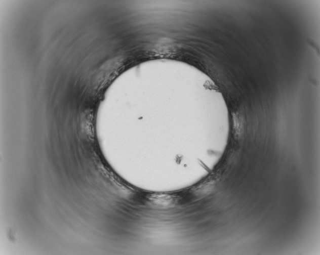 X0000103910181200810171714