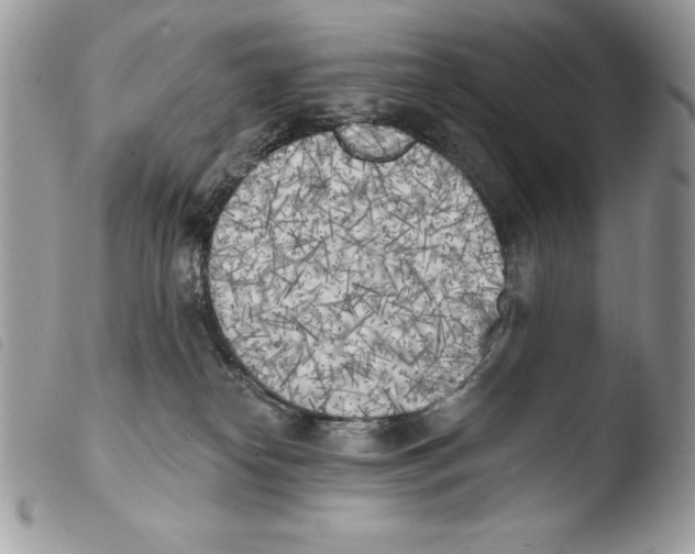 X0000103910182200810171714