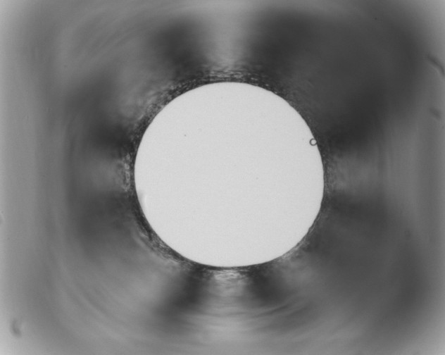 X0000103910183200810171714