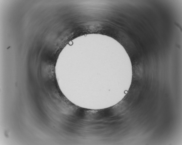 X0000103910184200810171714
