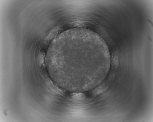 X0000103910185200810171714
