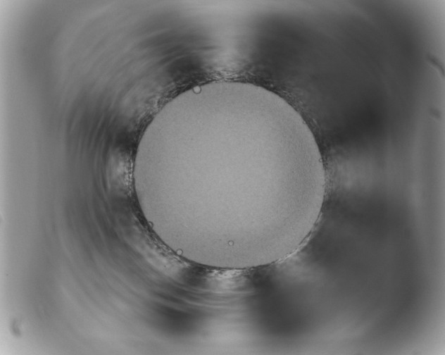 X0000103910186200810171714