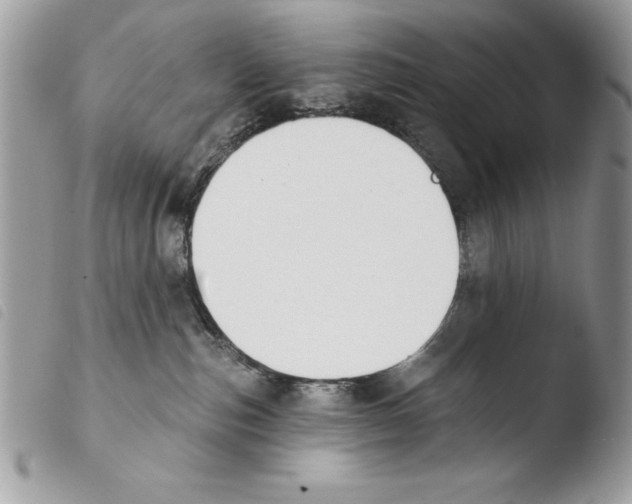 X0000103910187200810171714