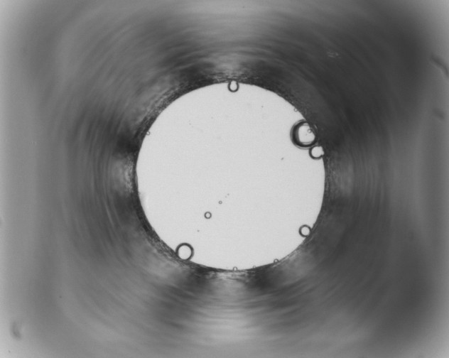 X0000103910188200810171714