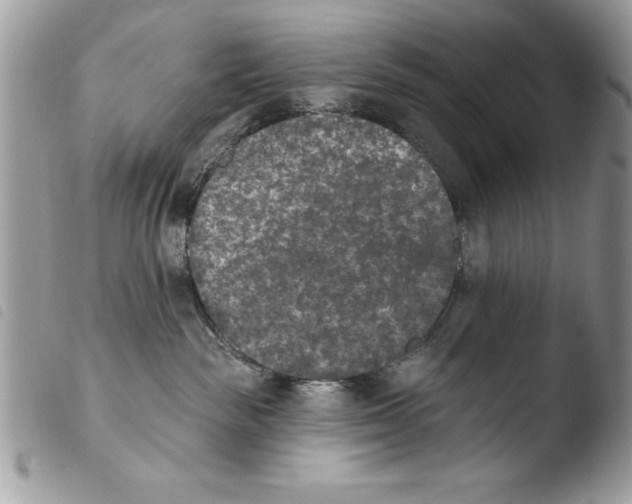 X0000103910189200810171714