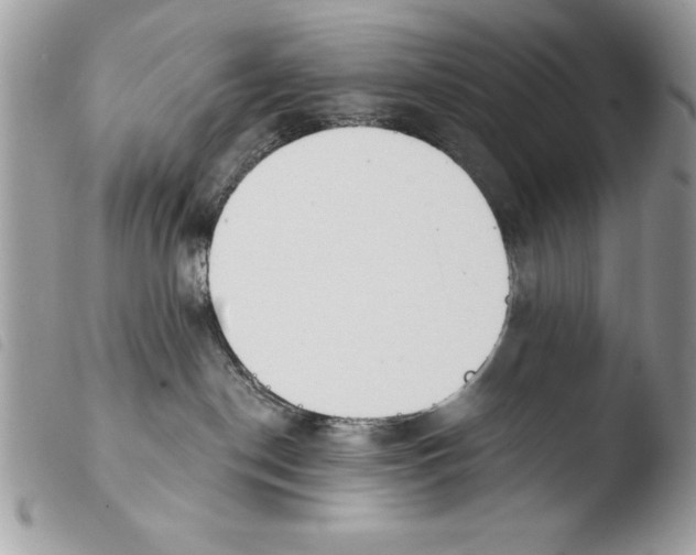 X0000103910190200810171714