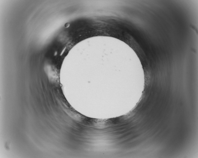 X0000103910191200810171714