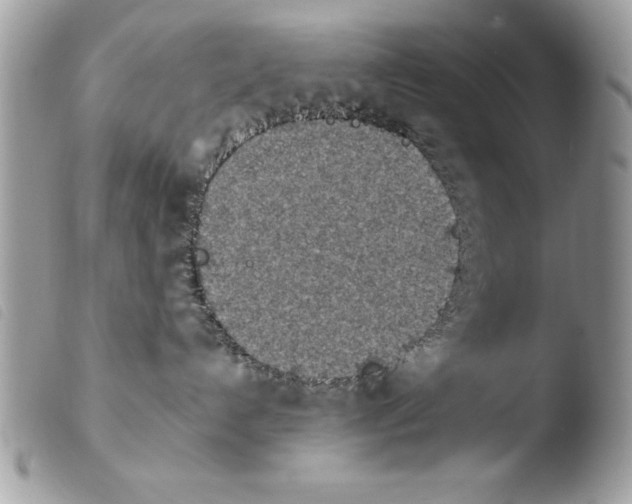 X0000103910192200810171714