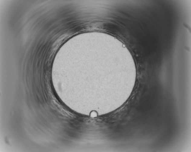 X0000103910193200810171713