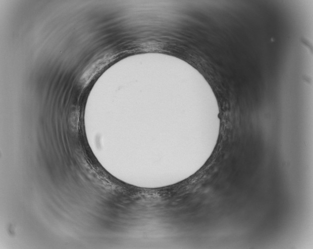 X0000103910194200810171713
