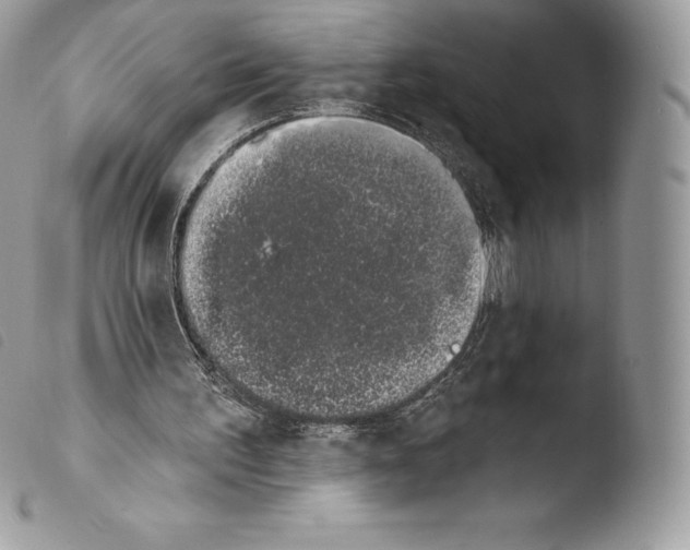 X0000103910195200810171713