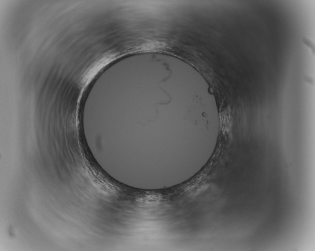 X0000103910196200810171713