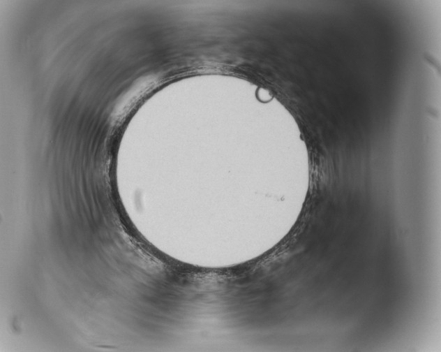 X0000103910197200810171713