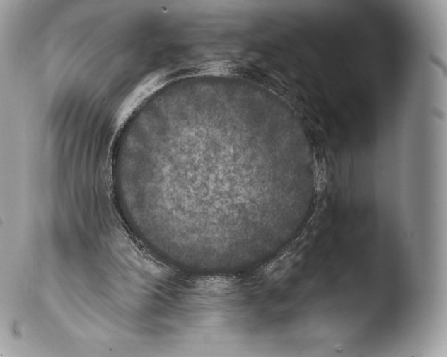 X0000103910198200810171713