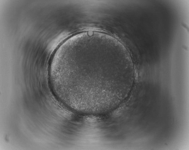 X0000103910199200810171713