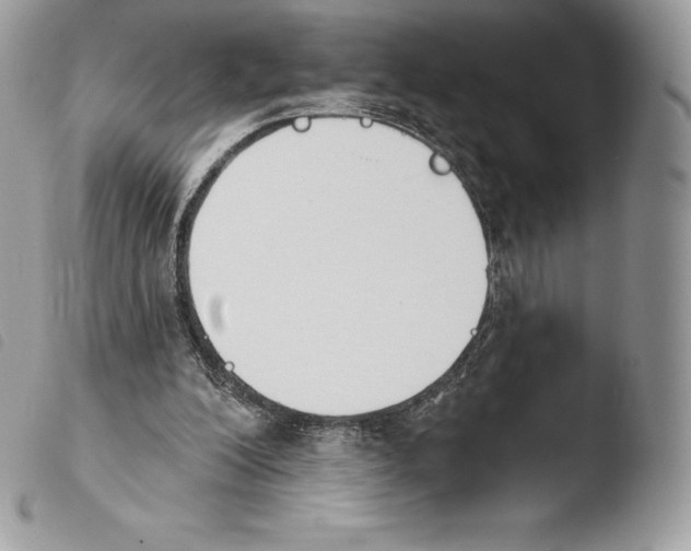 X0000103910200200810171713