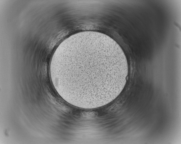 X0000103910202200810171713