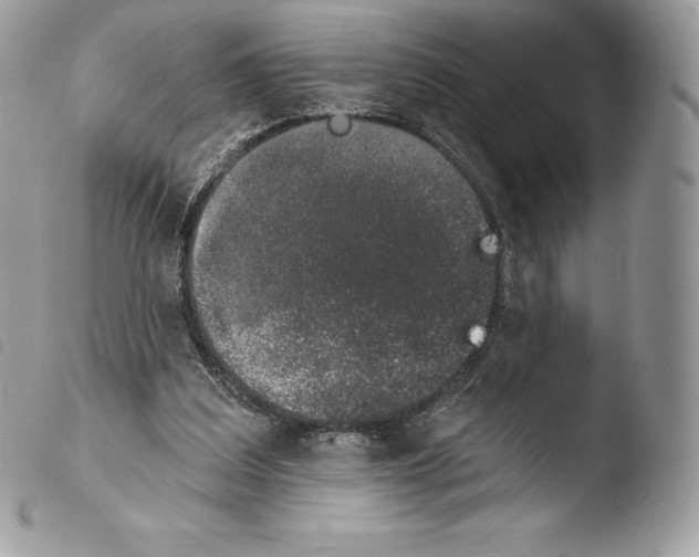 X0000103910203200810171713