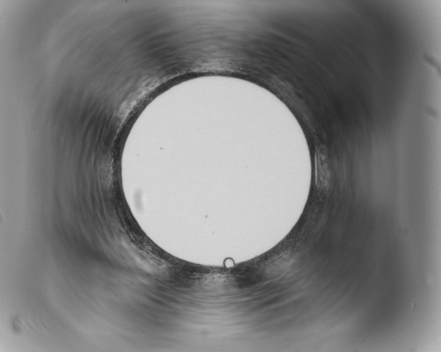 X0000103910204200810171713