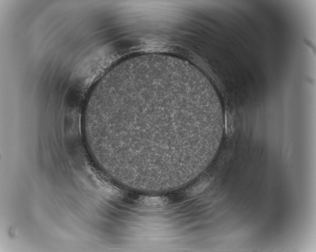 X0000103910205200810171713