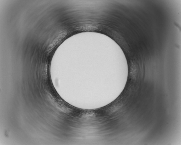 X0000103910206200810171713