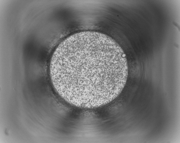 X0000103910207200810171713
