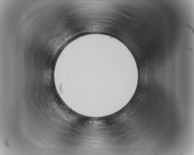 X0000103910208200810171713