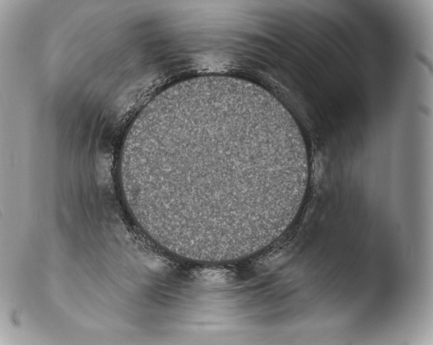 X0000103910209200810171713