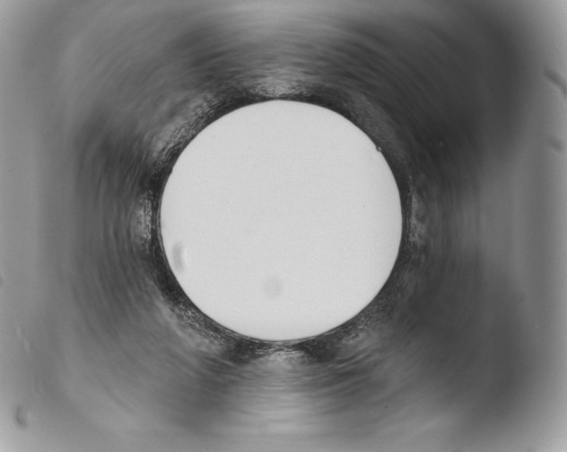 X0000103910210200810171713