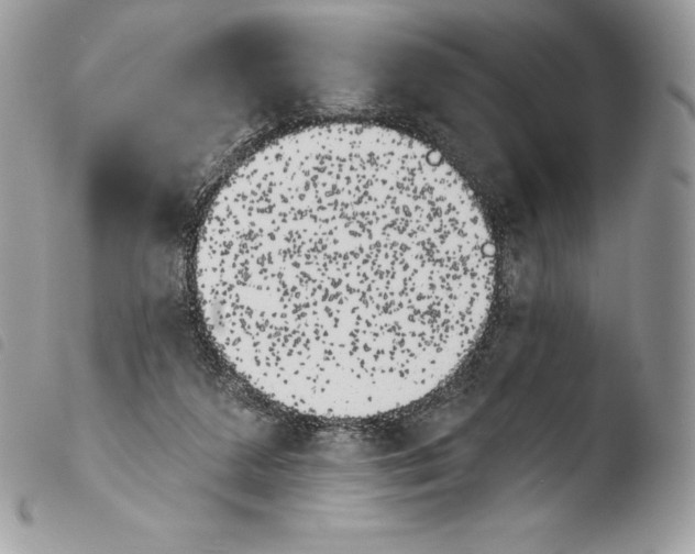 X0000103910211200810171713