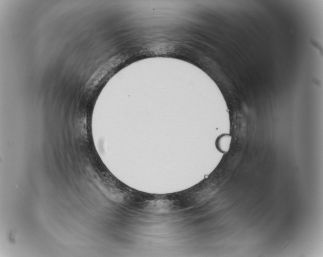 X0000103910212200810171713