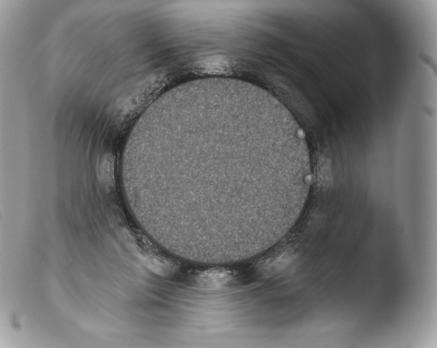X0000103910213200810171713