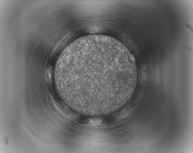 X0000103910214200810171713