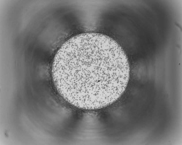 X0000103910215200810171713
