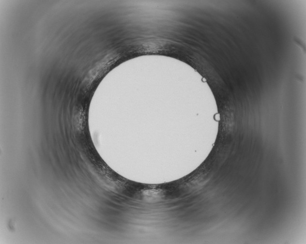 X0000103910216200810171713