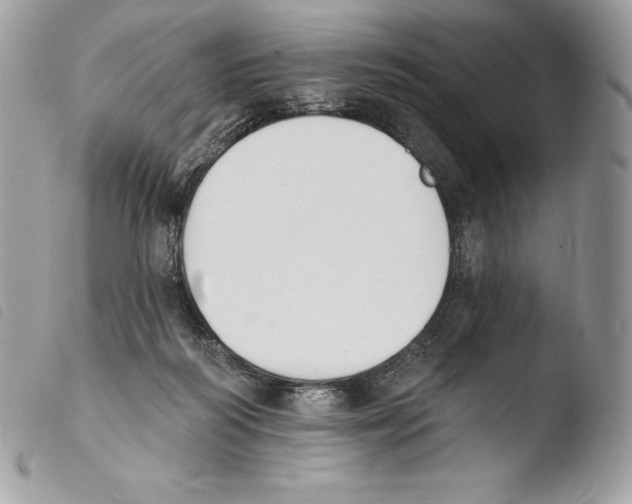 X0000103910218200810171713