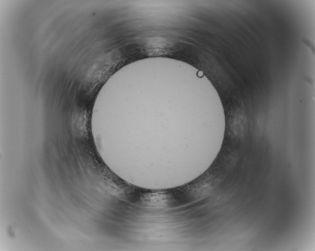 X0000103910219200810171713