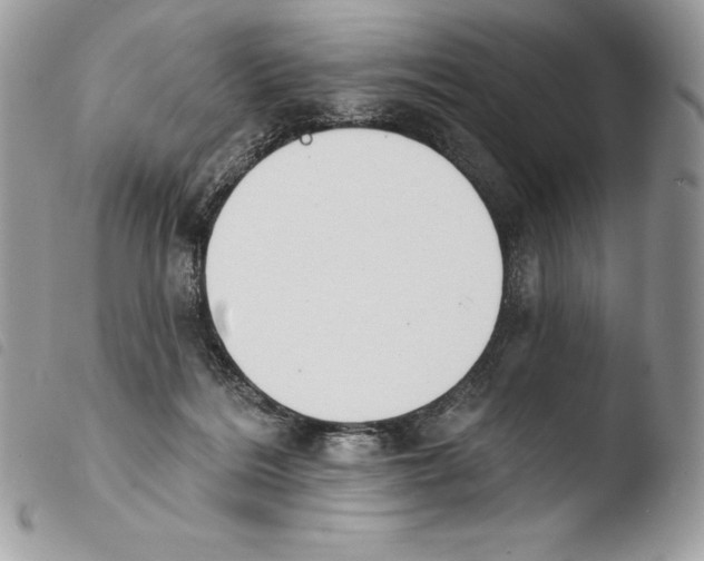 X0000103910220200810171713
