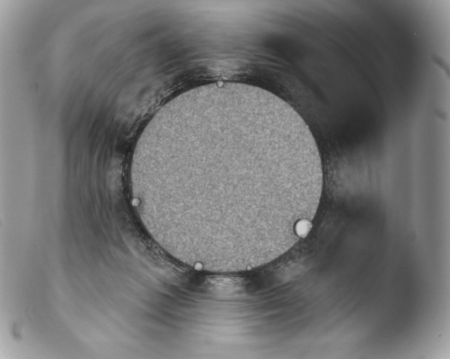 X0000103910221200810171713