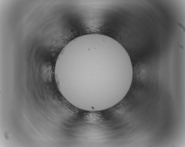 X0000103910223200810171713