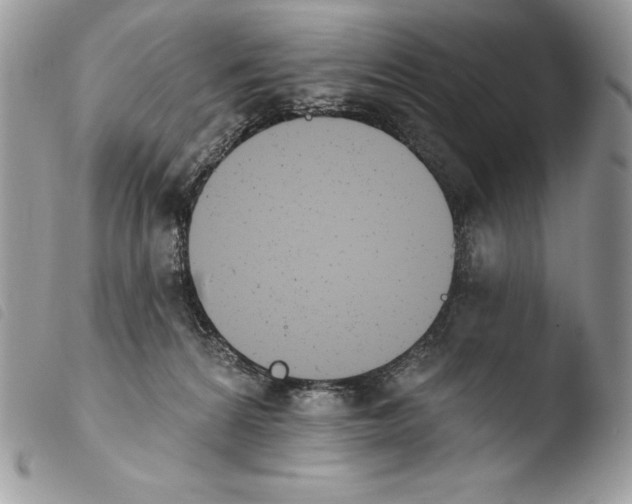 X0000103910224200810171713